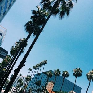 Meet your Posher, Becky